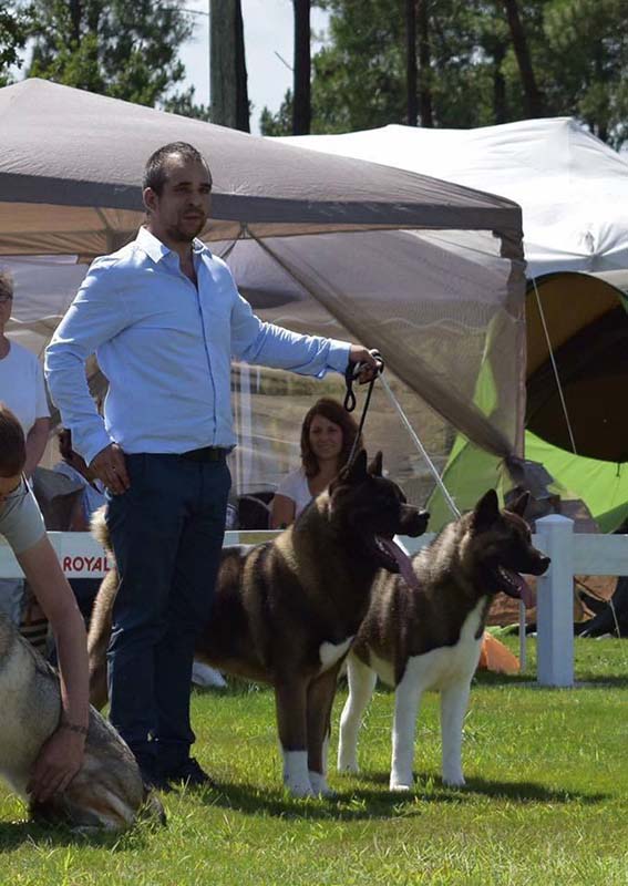 Pension canine Pau